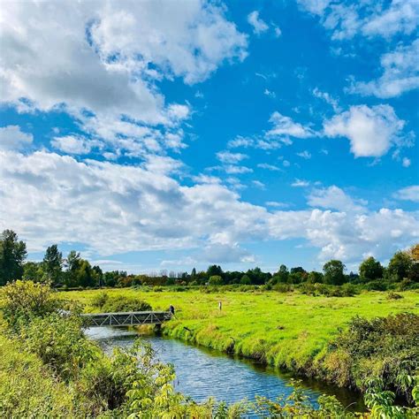 10 Coquitlam Parks To Hike, Spot Wildlife, and Go Picnicking