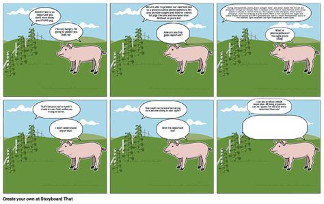 Photosynthesis And Cellular Respiration Storyboard