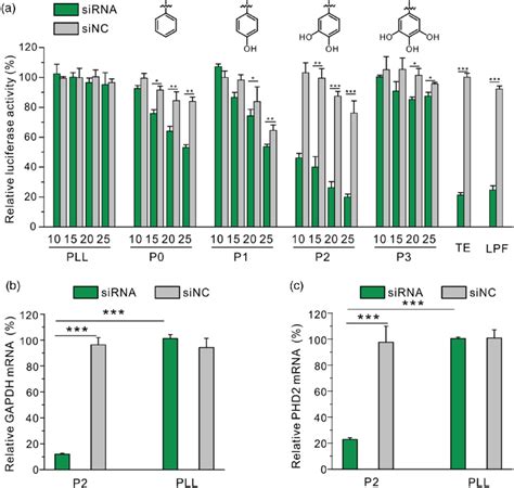 Sirna Delivery Efficiency Of Synthesized Polymers A Gene Silencing