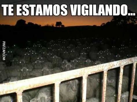 Te Estamos Vigilando Pintzap