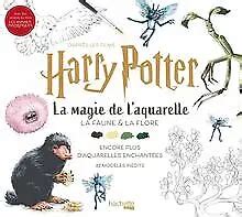 LA MAGIE DE l aquarelle Harry Potter Tome 2 La fau Livre état