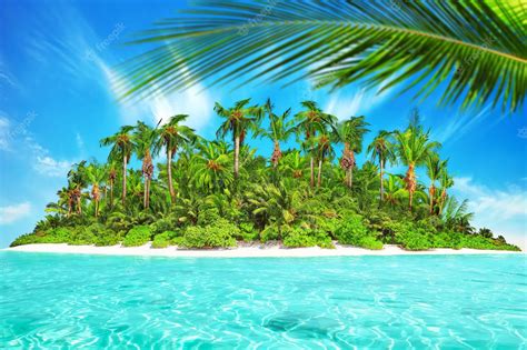 Premium Photo Whole Tropical Island Within Atoll In Tropical Ocean Uninhabited And Wild