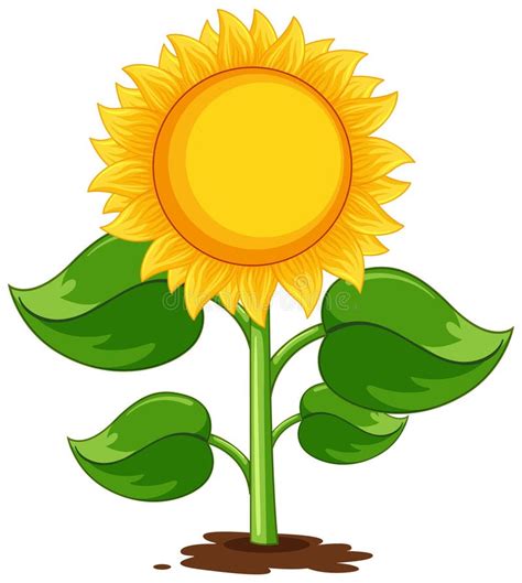 Dibujos Animados De Plantas De Girasol Aislados Ilustración del Vector