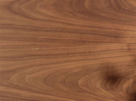 Free Walnut Wood Texture