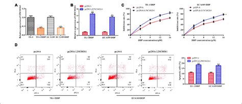 Overexpression Of Linc Suppresses Ddp Resistance In Escc Cells