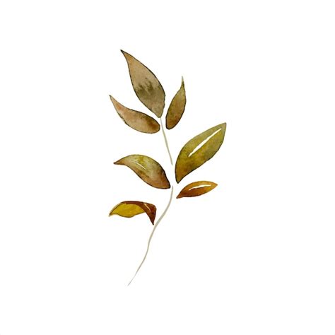 Premium Vector Foliage Watercolour Hand Draw Leaves Branch