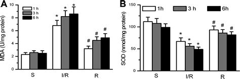 Remifentanil Protects Liver Against Ischemia Reperfusion Injury Through