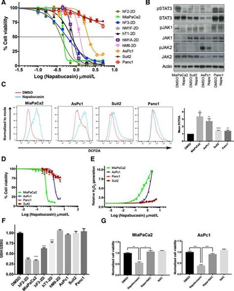 Bioactivation Of Napabucasin Triggers Reactive Oxygen Species Mediated Cancer Cell Death