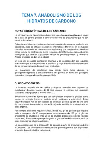 TEMA 7 ANABOLISMO DE LOS HIDRATOS DE CARBONO Pdf