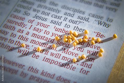 Mustard seeds on a open Bible page illustrating the verse - if you have ...