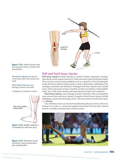 Pdf Soft And Hard Tissue Injuries Pdhpe Homemrharperpdhpeweebly