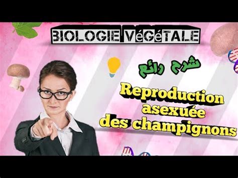 Biologie Végétale Reproduction asexuée des champignons SVI S2 YouTube