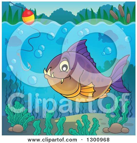 Clipart Of A Purple And Orange Carnivorous Piranha Fish Underwater