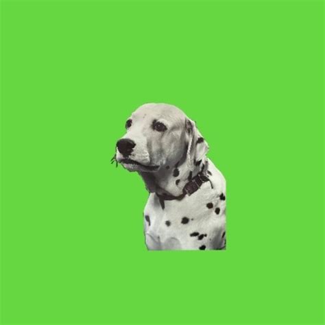 Stream The Dalmatians Music Listen To Songs Albums Playlists For Free On Soundcloud