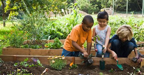 Download Gardening Kids Planting Flowers Wallpaper | Wallpapers.com 