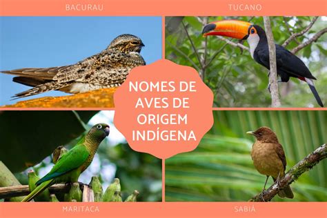 Como Os Indígenas Chamam Os Animais De Estimação - +50 Nomes de animais de ORIGEM INDÍGENA