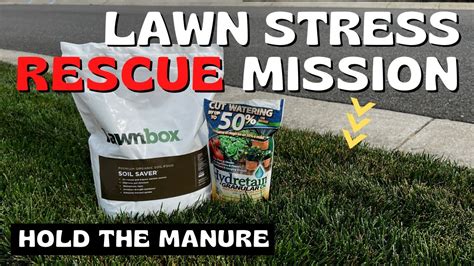 Two Excellent Products To Help With Lawn Heat Stress Youtube