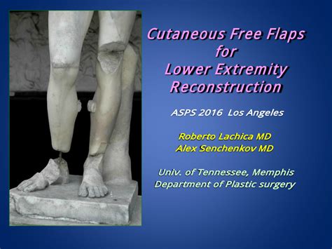 Pdf Cutaneous Free Flaps For Lower Extremity Reconstruction