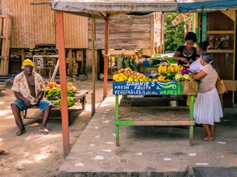 The Success of Humanitarian Aid to St. Vincent and the Grenadines - The