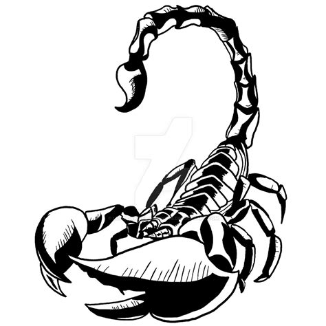 Scorpion Tattoo PNG HD Image | PNG All