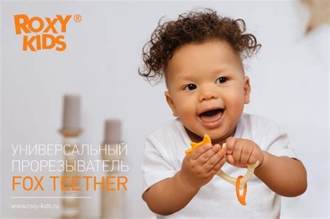 Прорезыватель универсальный для малыша FOX TEETHER от ROXY-KIDS, цвет ...