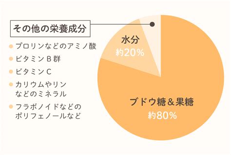 はちみつの効果・効能6つ｜毎日食べてもいい？栄養を摂る効果的な食べ方や使い方も紹介｜prezoプレゾ 北海道のお取り寄せグルメと産直通販