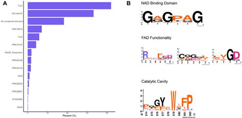 Overview of (A) conserved domains and (B) sequence motifs associated ... 