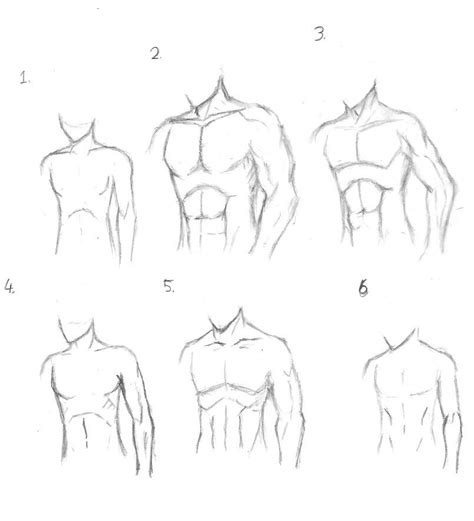 Back Muscles Reference Drawing : Muscular Back Study 01 by spacehater ...