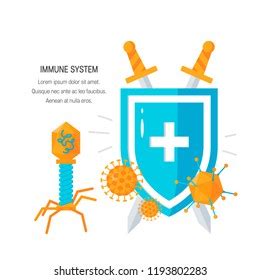 Immune System Concept Medical Shield Surrounded Stock Vector Royalty