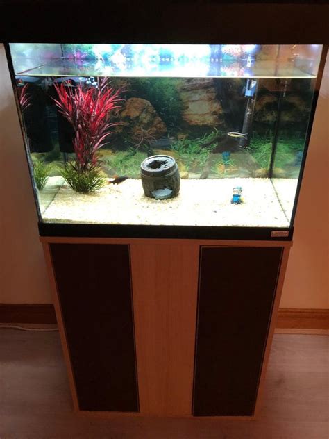 Litre Fish Tank In Cowdenbeath Fife Gumtree