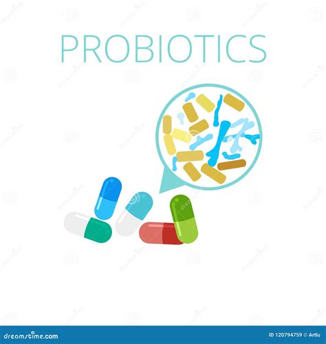 Probiotics Lactobacilli And Bifidobacterium In Capsules Vector