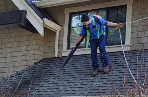 7 Reasons To Hire A Professional Gutter Cleaning Service EDM Chicago