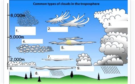 Cloud Types Chart Diagram | Quizlet