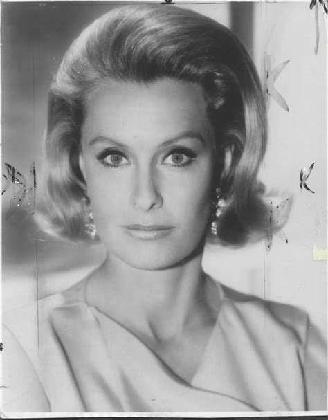 1970 Dina Merrill Actress Closeup Portrait Press Photo Portrait Dina