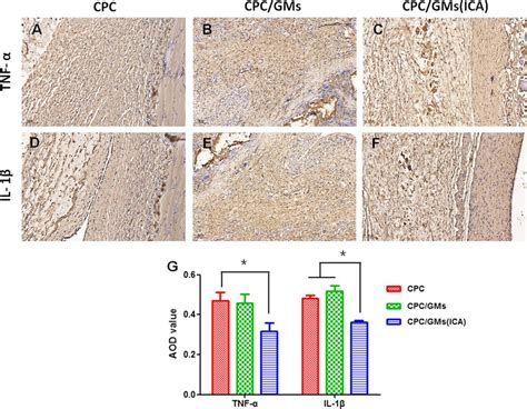 Ihc Staining And The Corresponding Quantitative Analysis Of Tnf α And