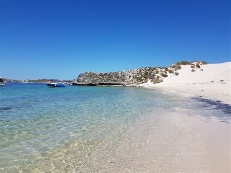 Rottnest Island Map Images And Things To Do Seeker
