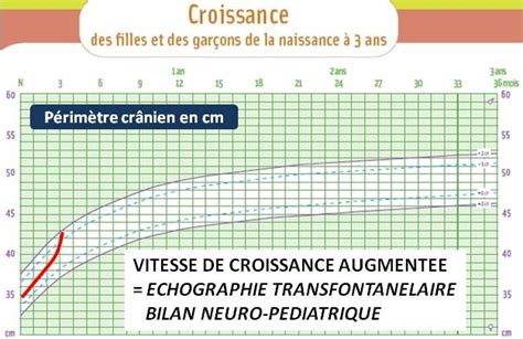 Courbes De Croissance Et Santé Bébésanté Fr