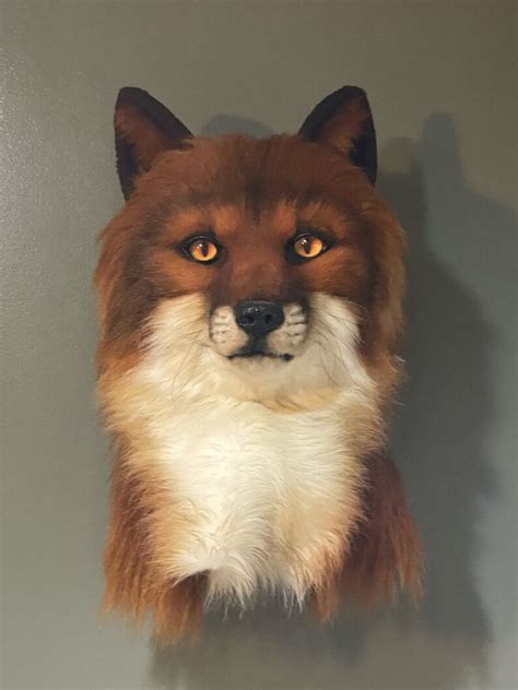 Realistic Fox Fursuit Head Etsy