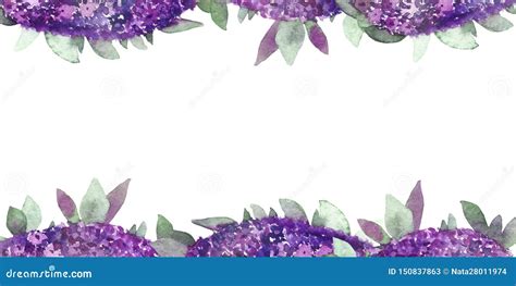 Watercolor Hand Painted Summer Nature Border Frame With Purple Flowers