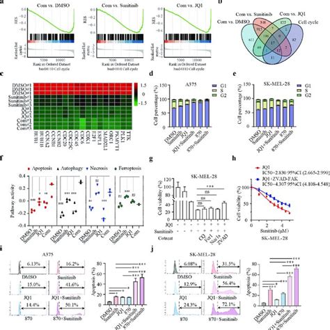 Identification Of Synergy Between Sunitinib And BET Inhibitors In