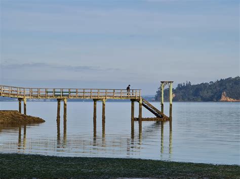 Average Morning And Fishing At Herne Bay Beach Auckland R