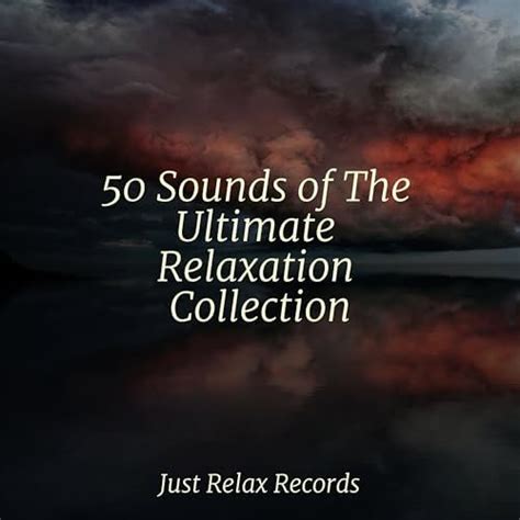 Play 50 Sounds Of The Ultimate Relaxation Collection By Música Zen