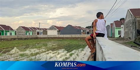 Cuaca Ekstrem Petani Padi Di Kediri Diminta Waspadai Hama Wereng