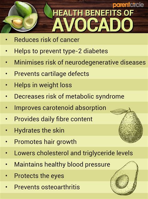 Health Benefits Of Avocado Fruit How To Eat During Pregnancy