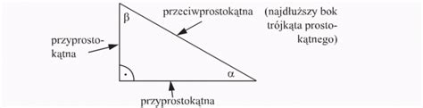 Trójkąty prostokątne wprowadzenie Matematyka Opracowania pl