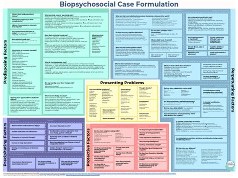 Biopsychosocial Case Formulation Cheatsheet No Links Pdf
