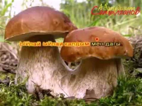 БУЙ БУЙ БУЙ ( Караоке ) - YouTube