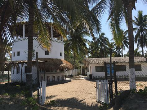 Broward County Sea Turtle Conservation Program - Another Hatchout!!! 🐢🐢