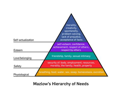 Piramide De Maslow En Marketing Youtube The Best Porn Website