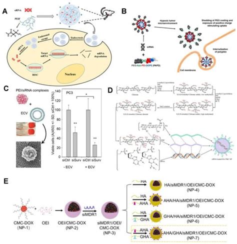 Bioengineering Free Full Text Broadening The Horizons Of RNA